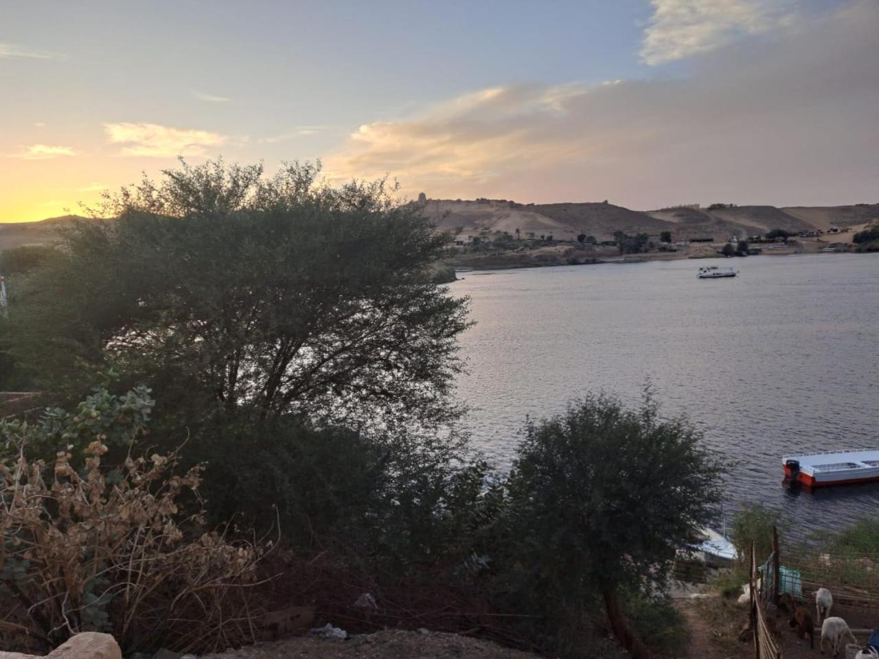 Queen House Aswan Bagian luar foto